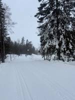 Bild uppladdad av Sofie