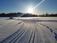 Bild uppladdad av Krister 