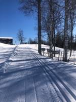 Bild uppladdad av Helen Skoog