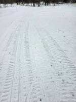 Bild uppladdad av SK