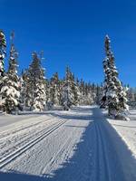 Bild uppladdad av Lennart Ehrencrona