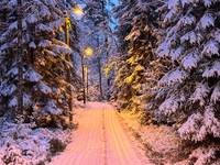 Bild uppladdad av Boo Nordin