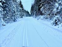 Bild uppladdad av Andreas