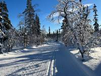 Bild uppladdad av Martin