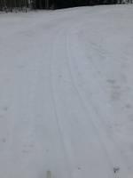 Bild uppladdad av Fredrik A