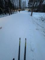 Bild uppladdad av Jasmin