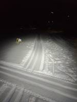 Bild uppladdad av Mikael 