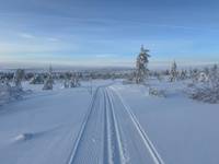 Bild uppladdad av ÖSIS 