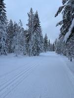 Bild uppladdad av Viktor