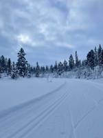 Bild uppladdad av My Rönnols