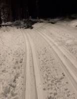 Bild uppladdad av Nilsson