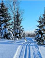 Bild uppladdad av Kenth