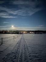 Bild uppladdad av Sanna