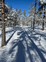 Bild uppladdad av Tomas