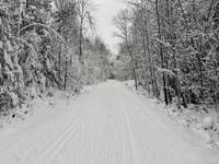 Bild uppladdad av Jesper