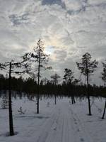 Bild uppladdad av Sanna