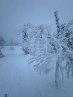 Bild uppladdad av Åke