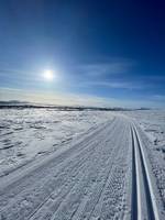 Bild uppladdad av Lennart Ehrencrona