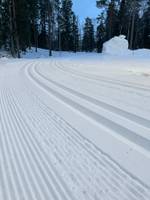 Bild uppladdad av Lida Friluftsgård 