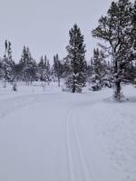 Bild uppladdad av Lars Schagerström