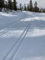 Bild uppladdad av Karin