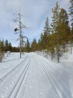 Bild uppladdad av Jesper