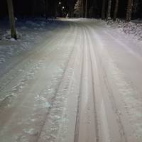 Bild uppladdad av Anonym