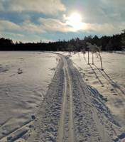 Bild uppladdad av Jöns