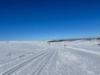 Bild uppladdad av MJ