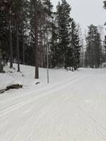 Bild uppladdad av Susanna 