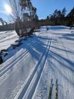 Bild uppladdad av Svante 