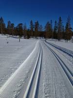 Bild uppladdad av Jan