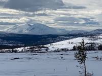 Bild uppladdad av Olov Öström