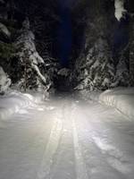 Bild uppladdad av Sanna