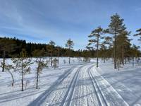 Bild uppladdad av Anonym