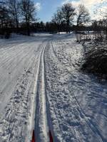 Bild uppladdad av Terese Perman