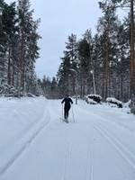 Bild uppladdad av Sanna