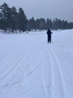 Bild uppladdad av Mattias Lindmark