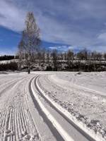 Bild uppladdad av Ylva