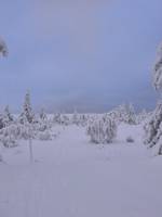 Bild uppladdad av Ylva 