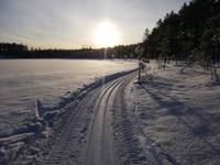 Bild uppladdad av Freddan