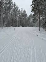 Bild uppladdad av Ludvig