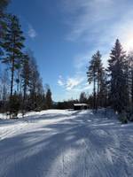 Bild uppladdad av Sanna