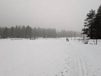 Bild uppladdad av Helena