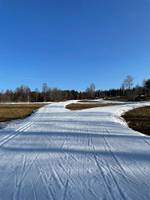 Bild uppladdad av Sanna