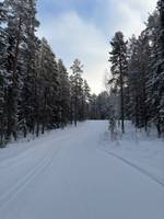 Bild uppladdad av Sanna