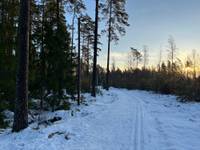 Bild uppladdad av Lars J