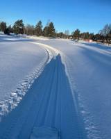 Bild uppladdad av Anonym