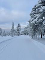 Bild uppladdad av Sanna