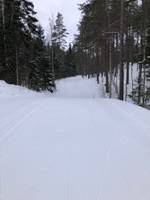 Bild uppladdad av MM